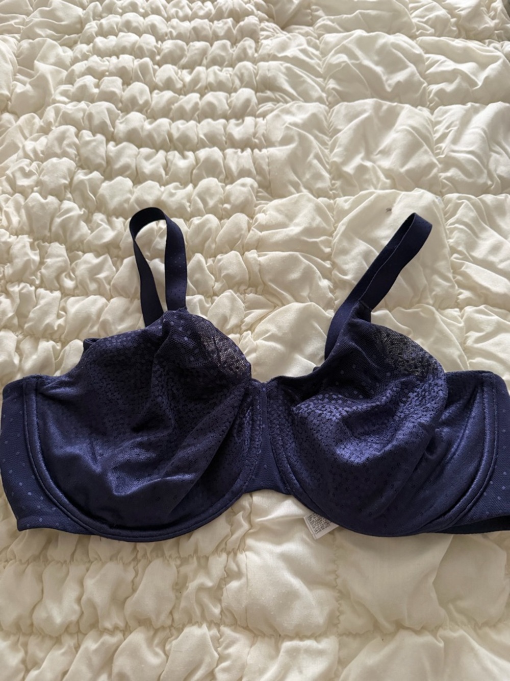 Wacoal Navy Underwire Bra with Sheer Dot Accents
